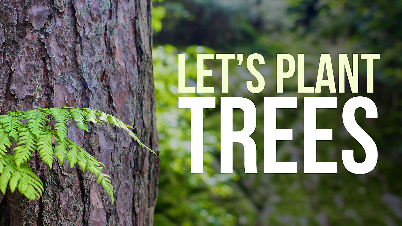 Types of friends image