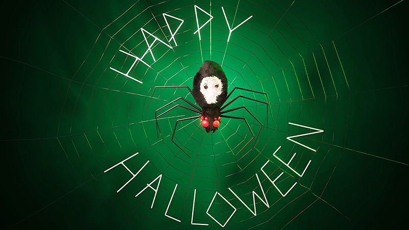 Creating an Animated Spooky Spider in Blender 2.9